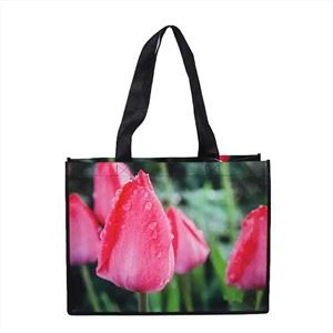 Sac non tissé cousu